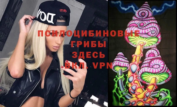 сатива Абдулино