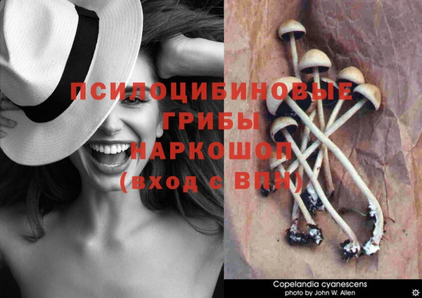 метадон Абаза