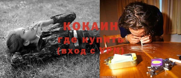 сатива Абдулино