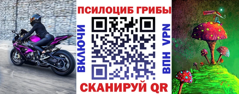 Галлюциногенные грибы Psilocybe  блэк спрут ТОР  Дербент 