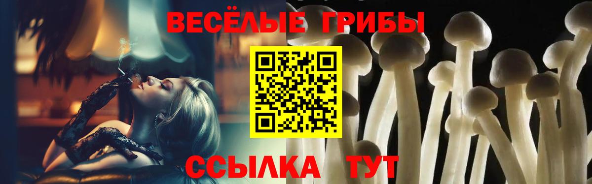 продажа наркотиков  Галлюциногенные грибы прущие грибы  Вход с VPN  Дербент 